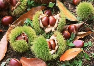 体に優しいお惣菜を手軽に入手できます