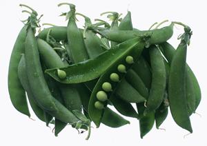 業務用の蕎麦粉を購入できる通販サイト