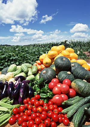 どら焼きの魅力と選び方を徹底解説！2025年最新ガイド