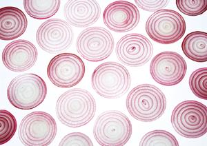 東京駅地下街に新たに登場！奥芝商店の魅力と店舗情報解説