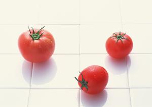 表参道エリアの絶品イタリアン特集2025?厳選店舗とおすすめコースを徹底解説